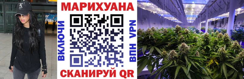 Канабис White Widow  Купить закладки  Агрыз 